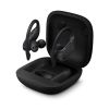 Powerbeats Pro - Totally Wireless Earphones - Black | Leversage